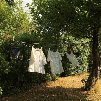 A cover of "Amae" cluster. The owner is kathlynjarvis. The cluster consists of 4 elements.