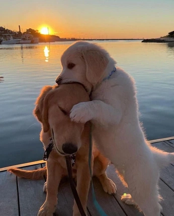 A cover of "FUNN" cluster. The owner is montsss. The cluster consists of 3 elements.