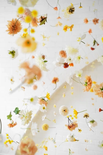 A cover of "Sola Party" cluster. The owner is nazanin.bo. The cluster consists of 12 elements.