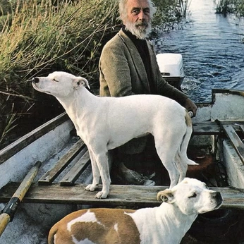 A cover of "Inspo" cluster. The owner is charlieasdfasdf. The cluster consists of 133 elements.