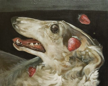 A cover of "animal paintings" cluster. The owner is juniper02. The cluster consists of 6 elements.