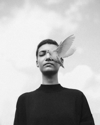 A cover of "anatomie" cluster. The owner is selka. The cluster consists of 1 element.