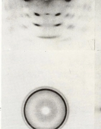 A cover of "backgrounds" cluster. The owner is anakondoorknob. The cluster consists of 1 element.