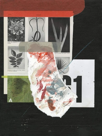 A cover of "коллаж" cluster. The owner is olyamamore. The cluster consists of 3 elements.