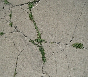 A cover of "rancore" cluster. The owner is federicorozzi. The cluster consists of 1 element.