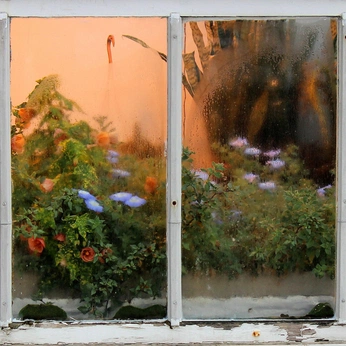 A cover of "wow, look at that" cluster. The owner is twoofcrows. The cluster consists of 53 elements.