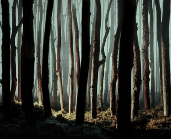 A cover of "remindings" cluster. The owner is underoath. The cluster consists of 2 elements.