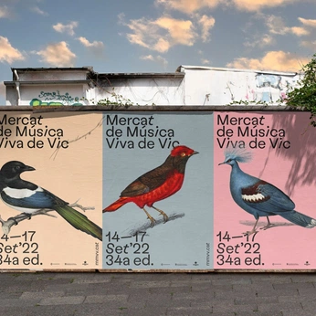 A cover of "∘ Colour" cluster. The owner is robbertschefman. The cluster consists of 16 elements.