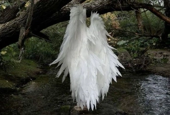 A cover of "little angel" cluster. The owner is carolinesoulier. The cluster consists of 76 elements.