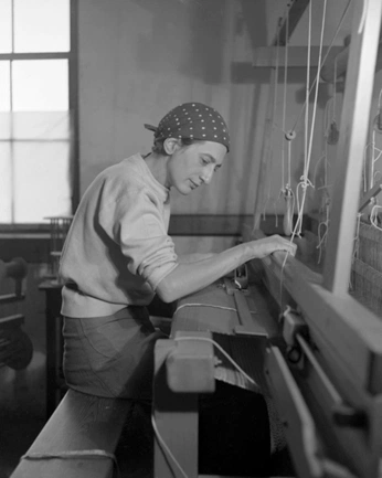 A cover of "Textile" cluster. The owner is magdasousamendes. The cluster consists of 3 elements.