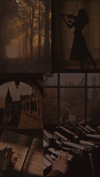 A cover of "Dark Academia" cluster. The owner is mandyscollection. The cluster consists of 47 elements.