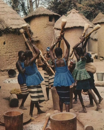 A cover of "Archives CI" cluster. The owner is jeunegilles. The cluster consists of 1 element.