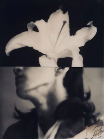 A cover of "the general vibe" cluster. The owner is elhenw. The cluster consists of 9 elements.