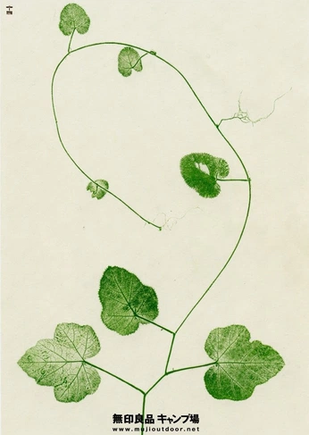 A cover of "Moda giysi 1" cluster. The owner is berrygul. The cluster consists of 5 elements.