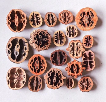 A cover of "Studio" cluster. The owner is spicymoss. The cluster consists of 2 elements.