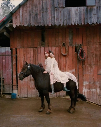 A cover of "Editorial w/ horses" cluster. The owner is byadris. The cluster consists of 17 elements.