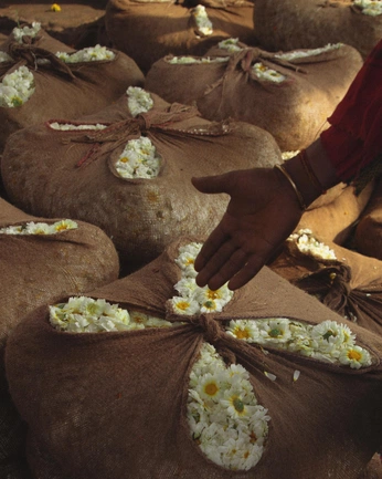 A cover of "anon" cluster. The owner is asingh777. The cluster consists of 18 elements.