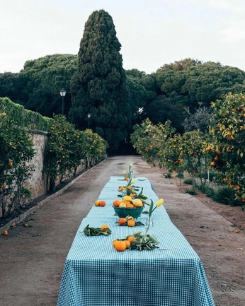 A cover of "Garden Party" cluster. The owner is meganshekleton. The cluster consists of 16 elements.