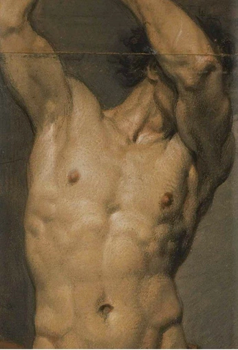 A cover of "Nakxman" cluster. The owner is starxboy04. The cluster consists of 4 elements.