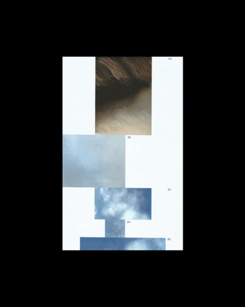 A cover of "Without rules" cluster. The owner is filippoladuca. The cluster consists of 3 elements.