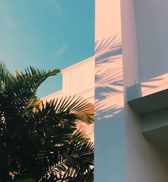 A cover of "Deja vu, perhaps" cluster. The owner is raeintheclouds. The cluster consists of 1 element.