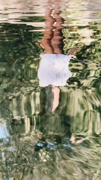 A cover of "Try Me" cluster. The owner is brianrussell. The cluster consists of 95 elements.