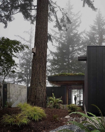 A cover of "GMC Land Yacht Inspo" cluster. The owner is s0105j. The cluster consists of 30 elements.