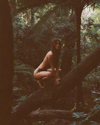 A cover of "Fotos eoritcas bosque" cluster. The owner is mariaherrera. The cluster consists of 6 elements.