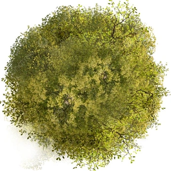 A cover of "Desenho Expressivo" cluster. The owner is youknowvvt. The cluster consists of 13 elements.