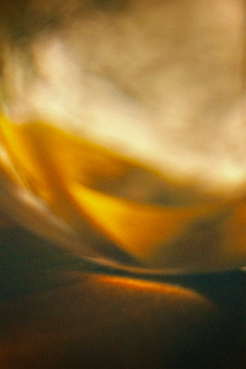 A cover of "Honey" cluster. The owner is isabelnao. The cluster consists of 10 elements.