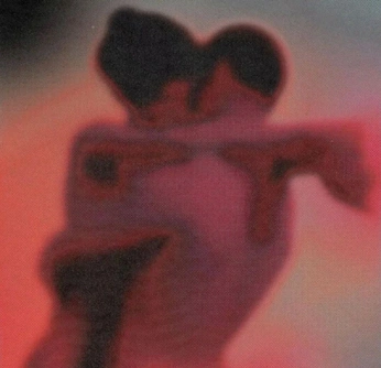 A cover of "ÀneEma ZemeElaA" cluster. The owner is mirandiuxj. The cluster consists of 24 elements.