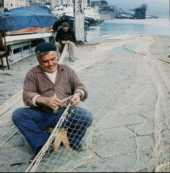 A cover of "picyysss" cluster. The owner is bingleberry. The cluster consists of 4 elements.