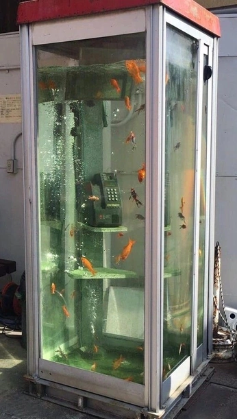 A cover of "tank" cluster. The owner is adriarhys. The cluster consists of 26 elements.