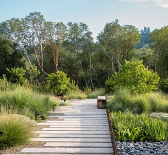 A cover of "Pavimentos" cluster. The owner is danibarrap. The cluster consists of 16 elements.