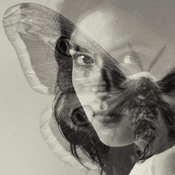 A cover of "papillons" cluster. The owner is lysorne. The cluster consists of 31 elements.