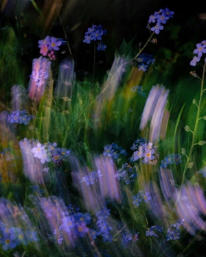 Millie Pugliese avatar