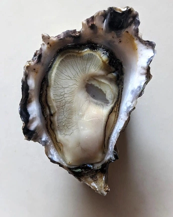 A cover of "Fertility comp" cluster. The owner is lilyjones. The cluster consists of 6 elements.