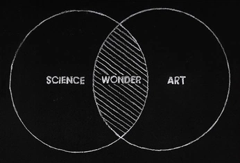 A cover of "Wonder" cluster. The owner is rebeccaorlov. The cluster consists of 13 elements.