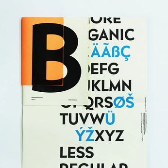 A cover of "Type" cluster. The owner is eveangelica. The cluster consists of 104 elements.