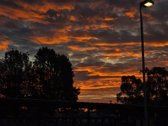 A cover of "scenes" cluster. The owner is pronz. The cluster consists of 3 elements.