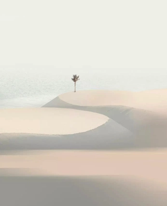 A cover of "wallpaper" cluster. The owner is mariela.jiimenez. The cluster consists of 2 elements.