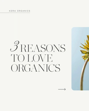 A cover of "Puraveda" cluster. The owner is sandrafornorm. The cluster consists of 222 elements.