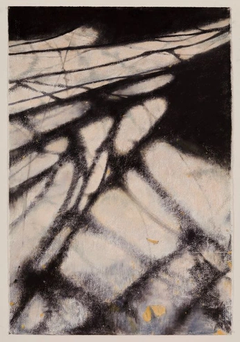 A cover of "B&W" cluster. The owner is morganf. The cluster consists of 8 elements.