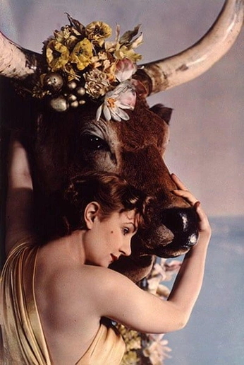 A cover of "Taurus" cluster. The owner is antlermythos. The cluster consists of 2 elements.