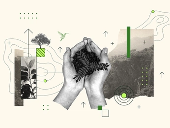 A cover of "collage" cluster. The owner is wucchen. The cluster consists of 1 element.