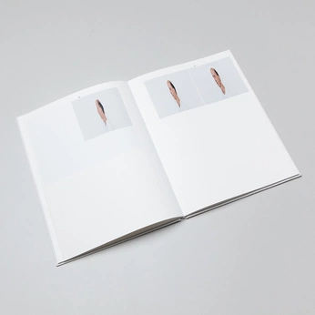 A cover of "copertina" cluster. The owner is elisabeccaria. The cluster consists of 18 elements.