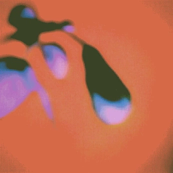 A cover of "Le fleur" cluster. The owner is shirohero. The cluster consists of 10 elements.