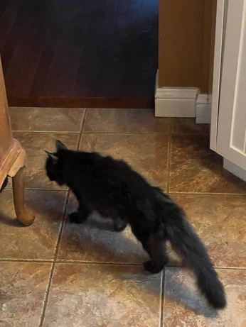 A cover of "2025" cluster. The owner is leosudden. The cluster consists of 66 elements.