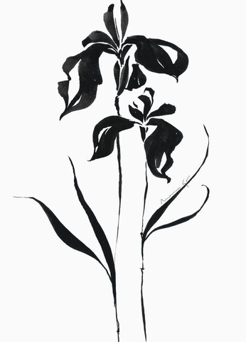 A cover of "Tattoo" cluster. The owner is cammm. The cluster consists of 2 elements.