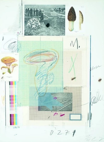 A cover of "colores inquietos" cluster. The owner is haus.casacreativ. The cluster consists of 1 element.